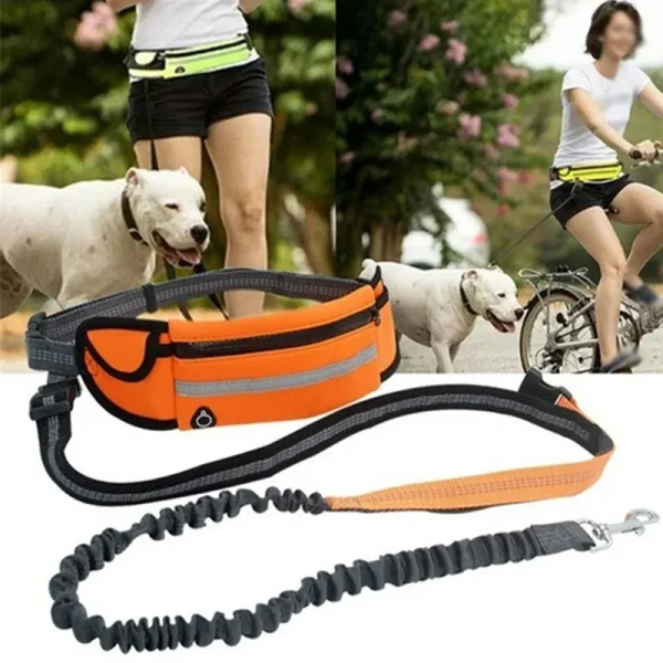 Hands-Free Dog Leash with Reflective Bungee & Zipper Pouch